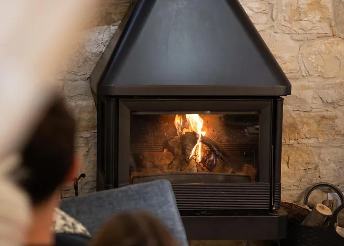 Apanemia ロッジ *